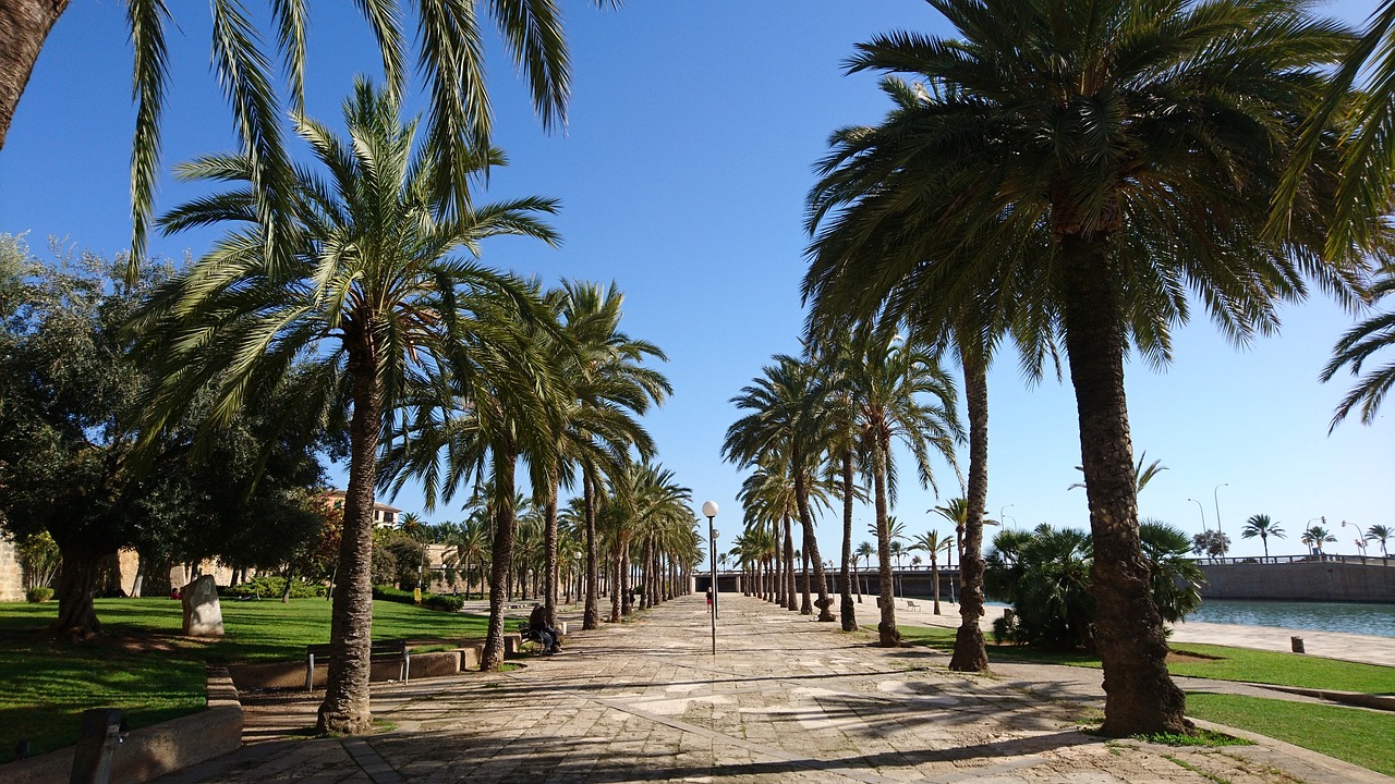 Palma de Mallorca: Stunning Beaches and Landscapes