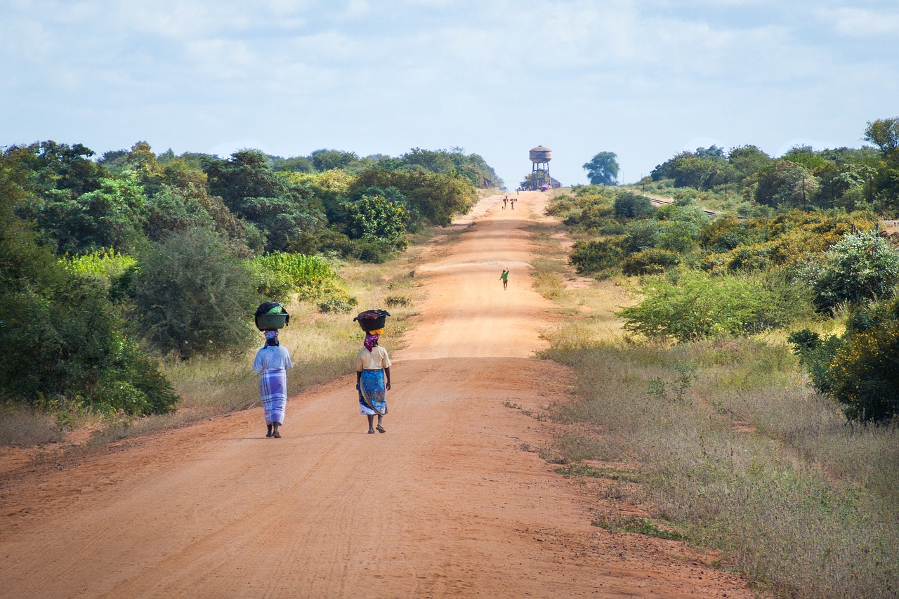 Mozambique: Exploring the Coastline and Wildlife Wonders